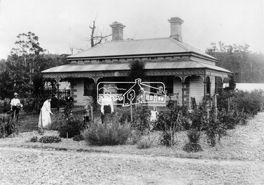 Negative - Photograph, Allwood, Hurstbridge, 1905