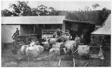Photograph, Allwood Nurseries, Diamond Creek, Vic