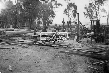 Photograph, Sawing timber at Hurstbridge