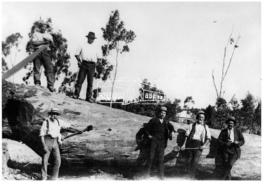 Photograph, Timber felling for railway, Hurstbridge