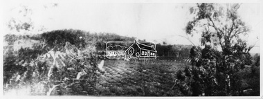 Photograph, Hurstbridge - Gray's Orchard, 1900