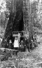 Big Ben - Kinglake, 1917