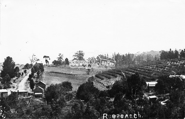 Photograph, Research. Showing top part of present day (1970) Ingrams Road on left. Then research Gully Road