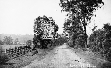 Photograph, Tom Prior, Nearing Eltham, from Research, Vic., c.1905