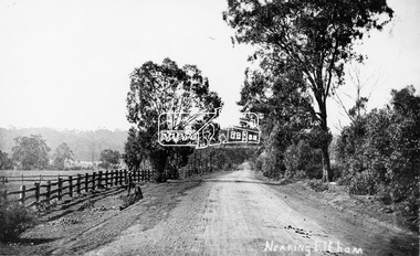 Photograph, Tom Prior, Nearing Eltham, from Research, Vic., c.1905, c.1905
