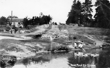 Negative - Photograph, Village Pond, near Main Road, Eltham, c.1908