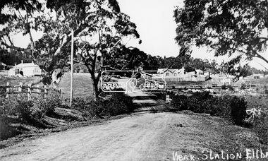Negative - Photograph, Near station, Eltham, c.1910