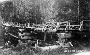Negative - Photograph, Log bridge over Pheasant Creek, Kinglake, c.1920