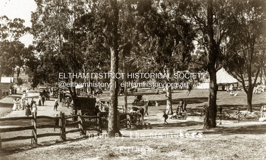 Negative - Photograph, Tom Prior (prob.), A peep at the picnickers, Eltham, c.1904