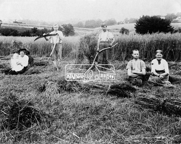 Photograph, Eltham - Jarrold property. Corner Main Road and Dalton Street. Cutting oats, c.1910