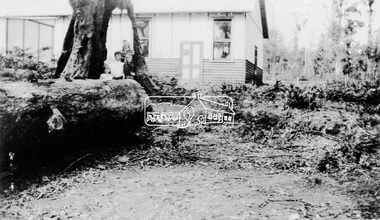 Photograph, Kinglake Hall; rebuilt after 1926 fires