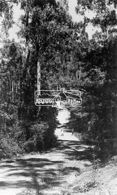 Photograph, The old Glenburn Road, Kinglake