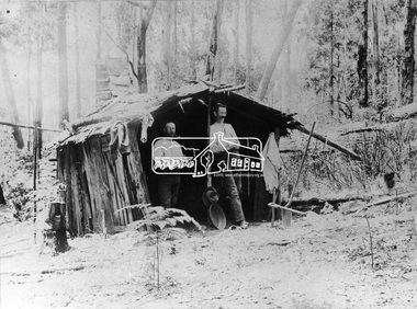 Negative - Photograph, Prospecting No. 1 Creek, Kinglake District