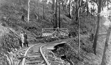 Negative - Photograph, Timber Tramway at Wright's Falls, Kinglake District, c.1920