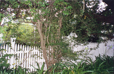 Photograph, Margaret Ball, 27 John Street, Eltham, c. June 1999, 1999