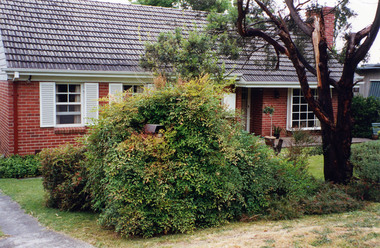 Photograph, Margaret Ball, 86 Pitt Street, Eltham, c. June 1999, 1999