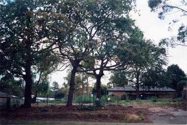 Photograph, Margaret Ball, 77 Dalton Street, Eltham, c.2002, 1999