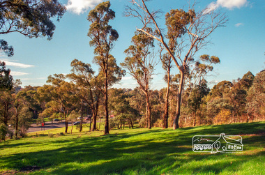 Photograph, Fitzsimons Lane Reserve bounded by Main Road, Bolton Street and Fitzsimons Lane, Eltham, c.May 2001