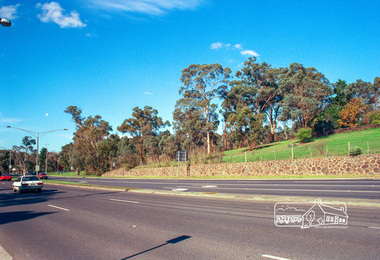 Photograph, Fitzsimons Lane Reserve bounded by Main Road, Bolton Street and Fitzsimons Lane, Eltham, c.May 2001
