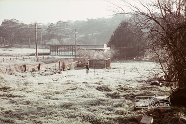 Photograph, Russell Yeoman, Frosty morning, 66 Susan Street, Eltham, c.1965, 1965c