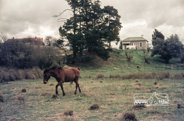 Photograph, Russell Yeoman, 66 Susan Street, Eltham, c.1965, 1965c