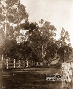 Photograph postcard, Diamond Creek Bridge, Eltham; Postcard dated and postmarked Eltham, 9 April 1906