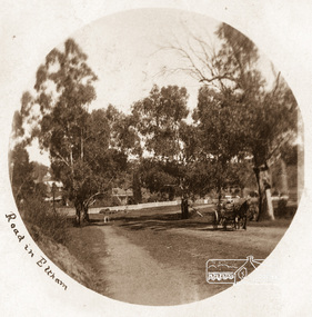Photograph postcard, Main Road, Eltham; approaching Wingrove Cottage; postcard stamped and dated Eltham 30 December 1905