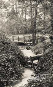 Photograph postcard, Footbridge over the Diamond Creek