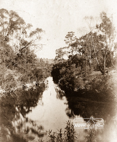 Photograph postcard, Diamond Creek, Eltham; postcard dated 11 July 1906