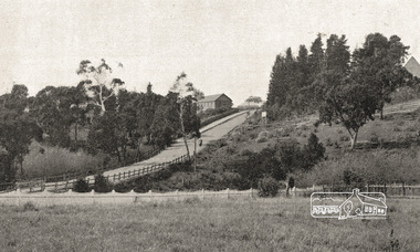 Photograph postcard, Entrance to Diamond Creek, c.1913