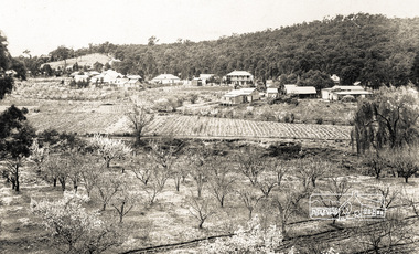 Photograph postcard, View at Hurstbridge, Vic.; postcard dated 28 October 1913