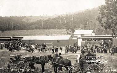 Photograph postcard, Railway Station, Hurstbridge