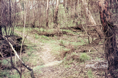 Photograph, Russell Yeoman, Construction of fire access on Gumtree Road, Research, by Army Reserve Engineers under command of Captain Bill Oakley, c.1966, 1966c