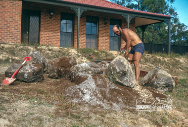 Photograph, Peter Vermey landscaping the front yard, February 1981