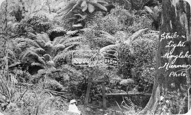 Photograph, Kinglake National Park, Strike a Light, Kinglake