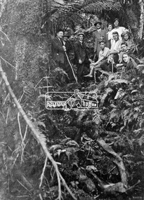 Photograph, Kinglake National Park, Tangle Creek