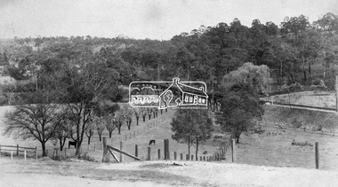 Negative - Photograph, Rose Stereograph Company, View at Eltham, Vic, c.1920