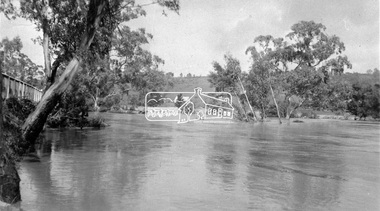 Photograph, Eltham - Floods in 1934