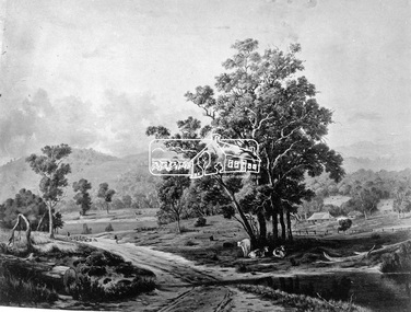 Photograph, Untitled