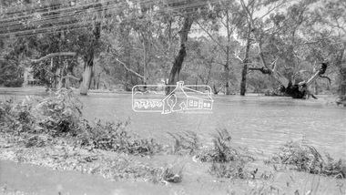 Photograph, Floodwaters, Diamond Creek, Eltham, 1934
