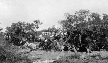 Photograph, Horses in Difficulty