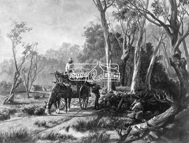 Photograph, Collection of wood
