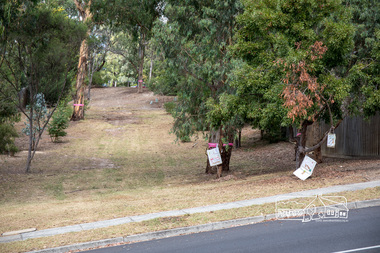 Photograph, Council owned Reserve running between Arthur Street and Ruskin Court, Eltham, 4 March 2018, 4/3/2018