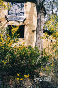 Photograph, Gayle Blackwood, Tower at back of mudbrick house, possibly St Andrews area