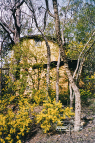 Photograph, Gayle Blackwood, Tower at back of mudbrick house, possibly St Andrews area