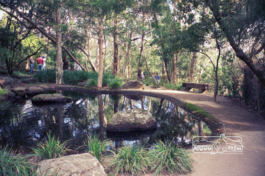 Photograph, Gayle Blackwood, Gwen and Gordon Ford's home, Pitt Street, Eltham