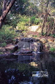 Photograph, Gayle Blackwood, Gwen and Gordon Ford's home, Pitt Street, Eltham