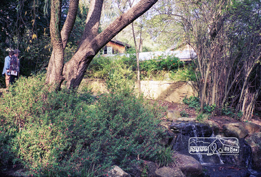 Photograph, Gayle Blackwood, Gwen and Gordon Ford's home, Pitt Street, Eltham