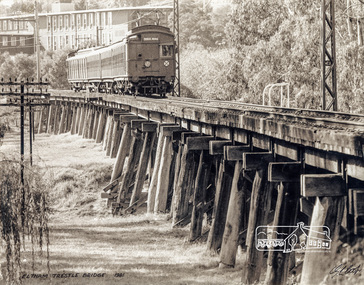 Photograph, G.L. Coop, Eltham Trestle Bridge, 1981, 1981
