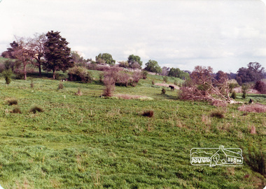 Photograph, Believed to be in the region of Banyule Flats, Lower Plenty, c.1980s, 1980s